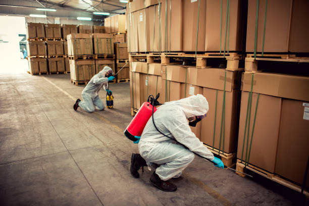 Pest Control for Restaurants in Madison Lake, MN