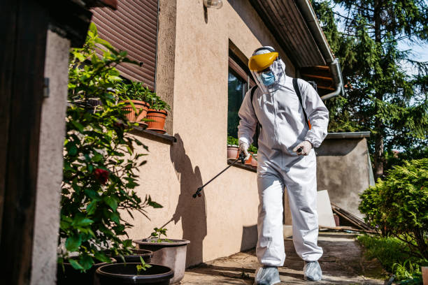 Best Pest Removal Services  in Madison Lake, MN