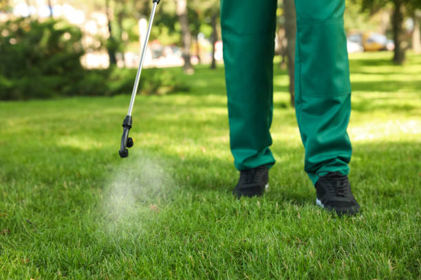Best Best Pest Control Companies  in Madison Lake, MN