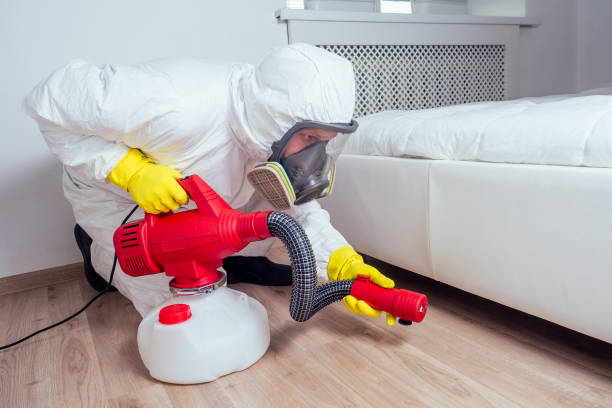 Best Mosquito Control Services  in Madison Lake, MN