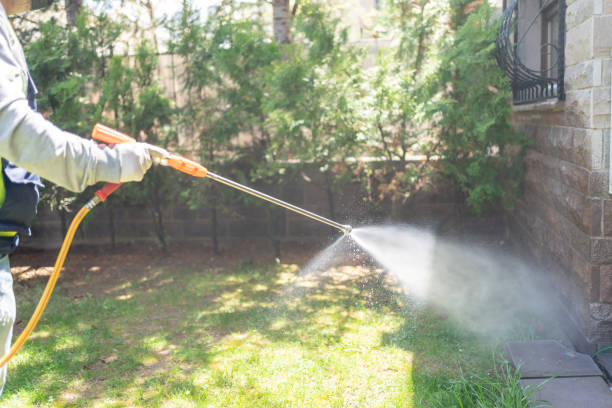 Best Flea Control Services  in Madison Lake, MN
