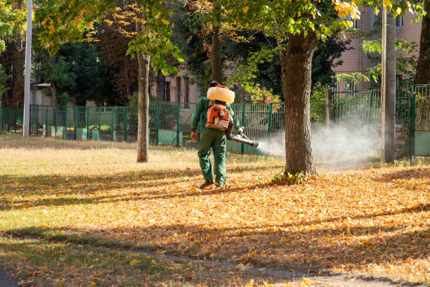 Trusted Madison Lake, MN Pest Control Experts